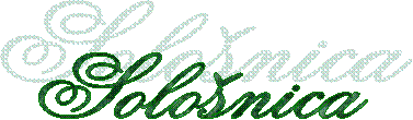 Solonica